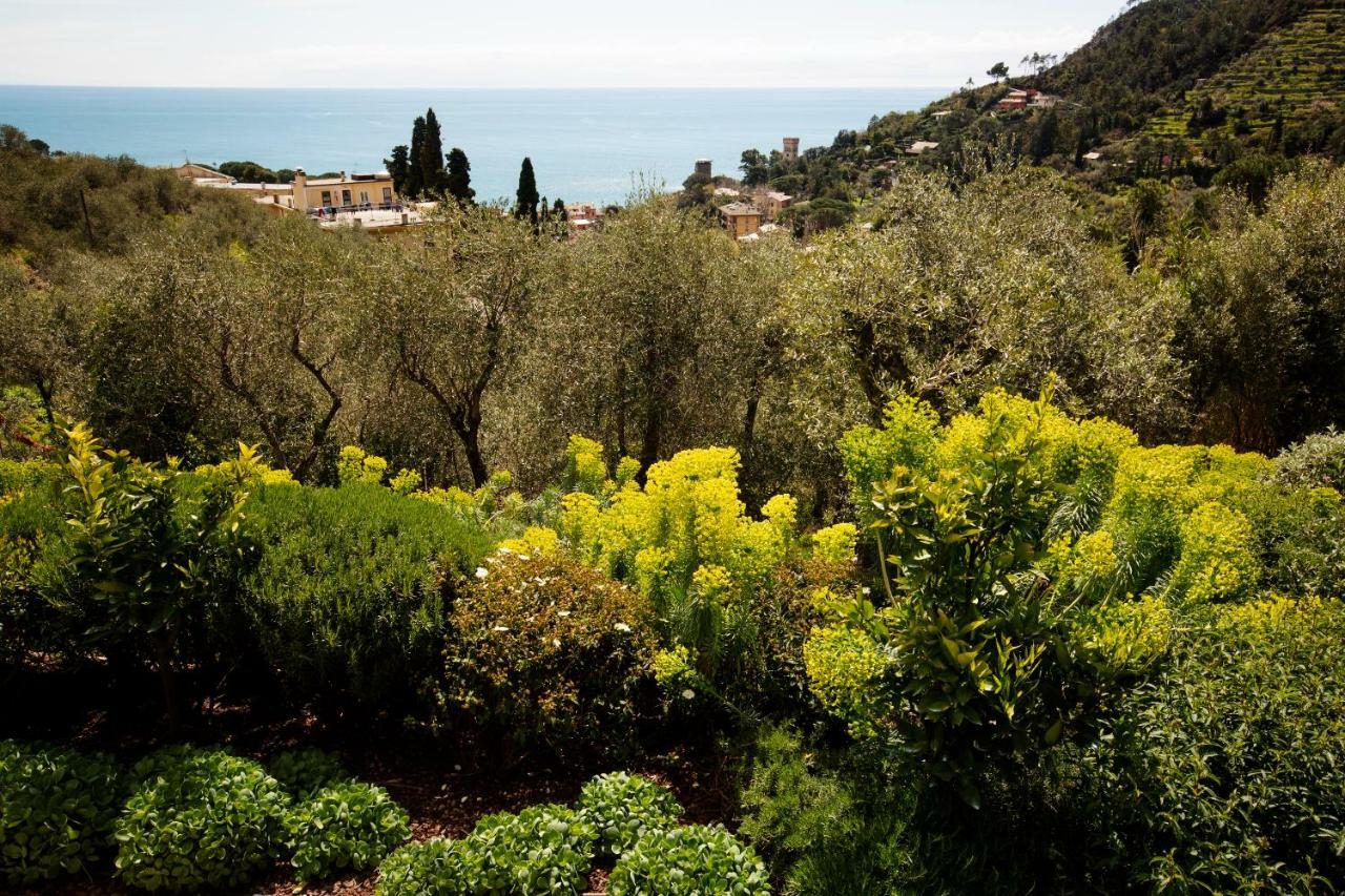 B&B Il Parco Monterosso al Mare Exterior foto